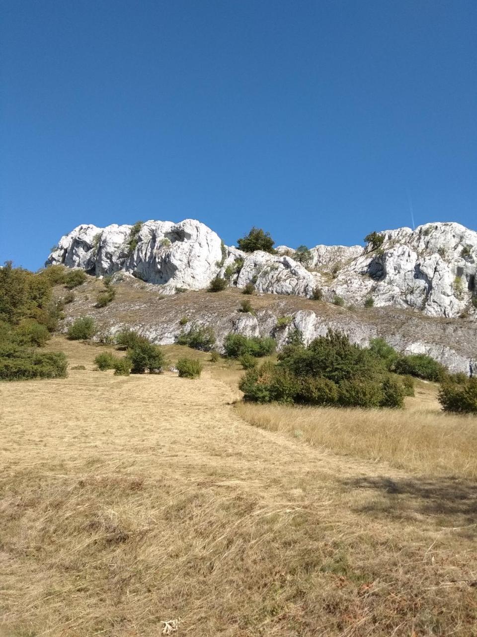 Penzion U Jezu - Ubytovani Pasohlavky Luaran gambar